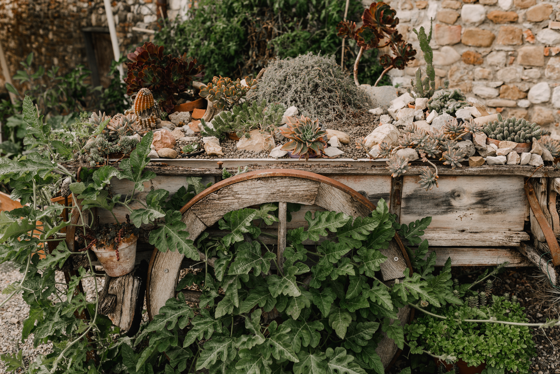 Charming Wedding in Tuscany Florence Fattoria La Loggia
