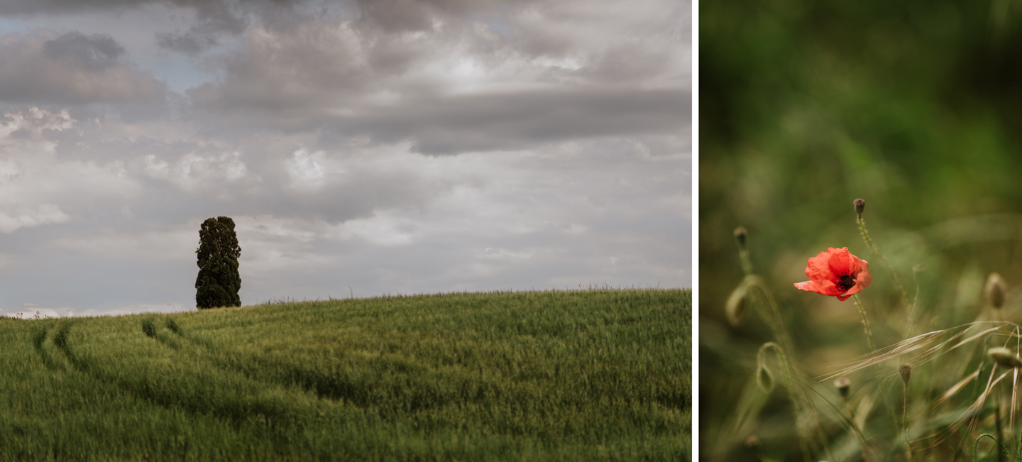 Wedding Photographer Siena Tuscany Florence